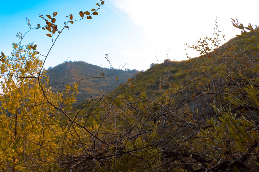 Margalla Hills National Park-Places to visit in Islamabad